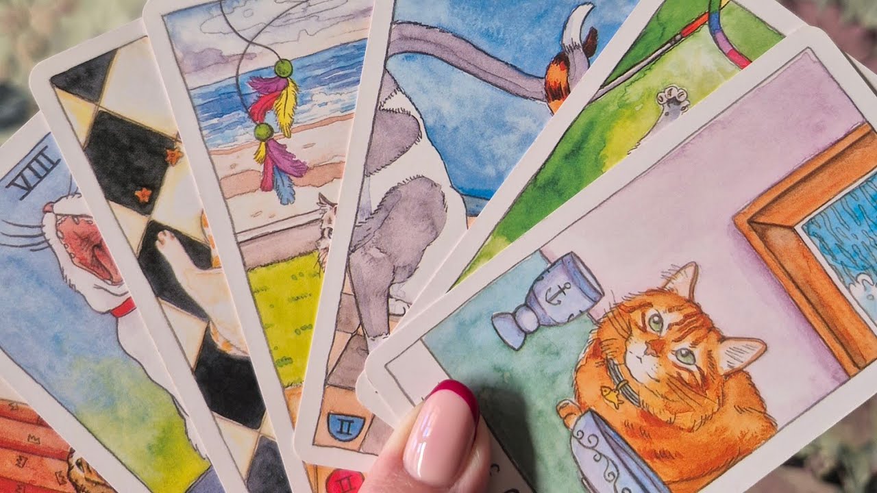 ♥︎💕♡Król Buław i Król Kielichów myślą o Tobie czule...♡💕♥︎ #tarotwitchanna #kartytarota #wróżka 