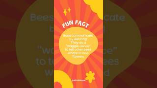 Fun Fact Post Capcut Template #ytshorts #quiztime #funfacts #didyouknow #fyp