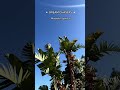We cant believe we actually did it what a time to be alive,... #Shorts #byrvm_contentcreation