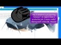 Math Video Tutorial Quiz