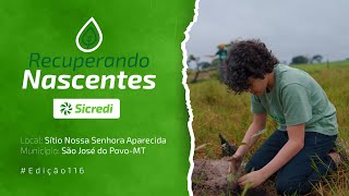 Recuperando Nascentes #edição116 - São José do Povo - MT