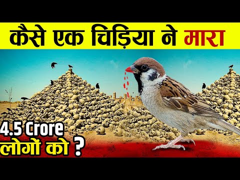 वीडियो: क्या चिन लिपो से किसी की मौत हुई है?