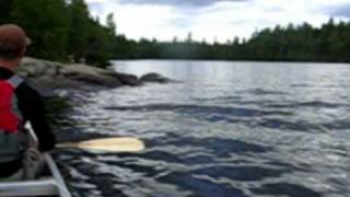 BWCA 2009