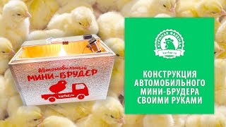 Брудер для перевозки суточных цыплят. Как сделать автомобильный мини-брудер своими руками?