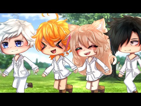 ✨|| Teleporting to..||✨|~| Gacha Meme |~| Original 💗||