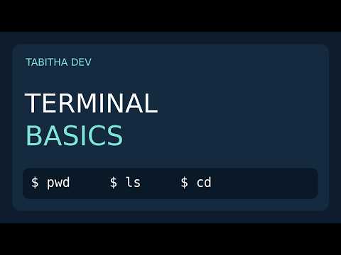 Terminal Basics for Beginners: pwd, ls, cd & File Navigation | Tabitha Dev