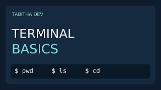 Terminal Basics for Beginners: pwd, ls, cd & File Navigation | Tabitha Dev