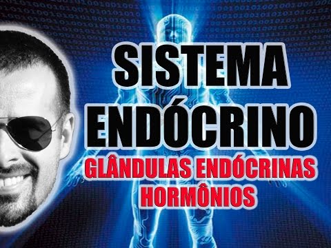 Vídeo: O que é um questionário de neuro-hormônios?