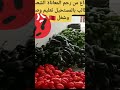 اغنية الموسم اجمل ما تسمع وستعيدها مرات ومرات