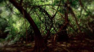 Renglon - Promo Lanzamiento Video Para No Morir