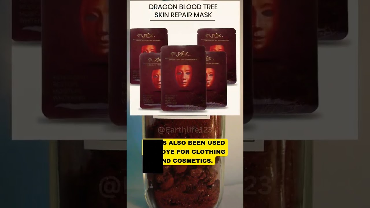 The Dragon Blood Tree