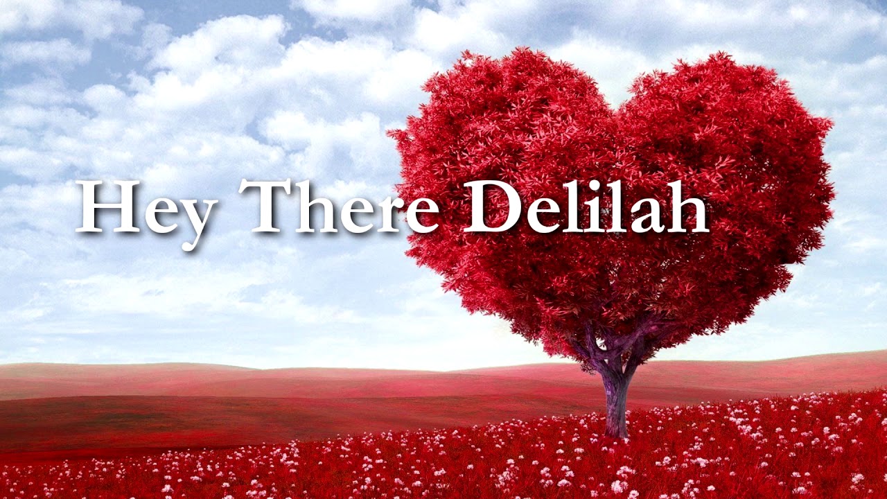Hey there delilah cover youtube