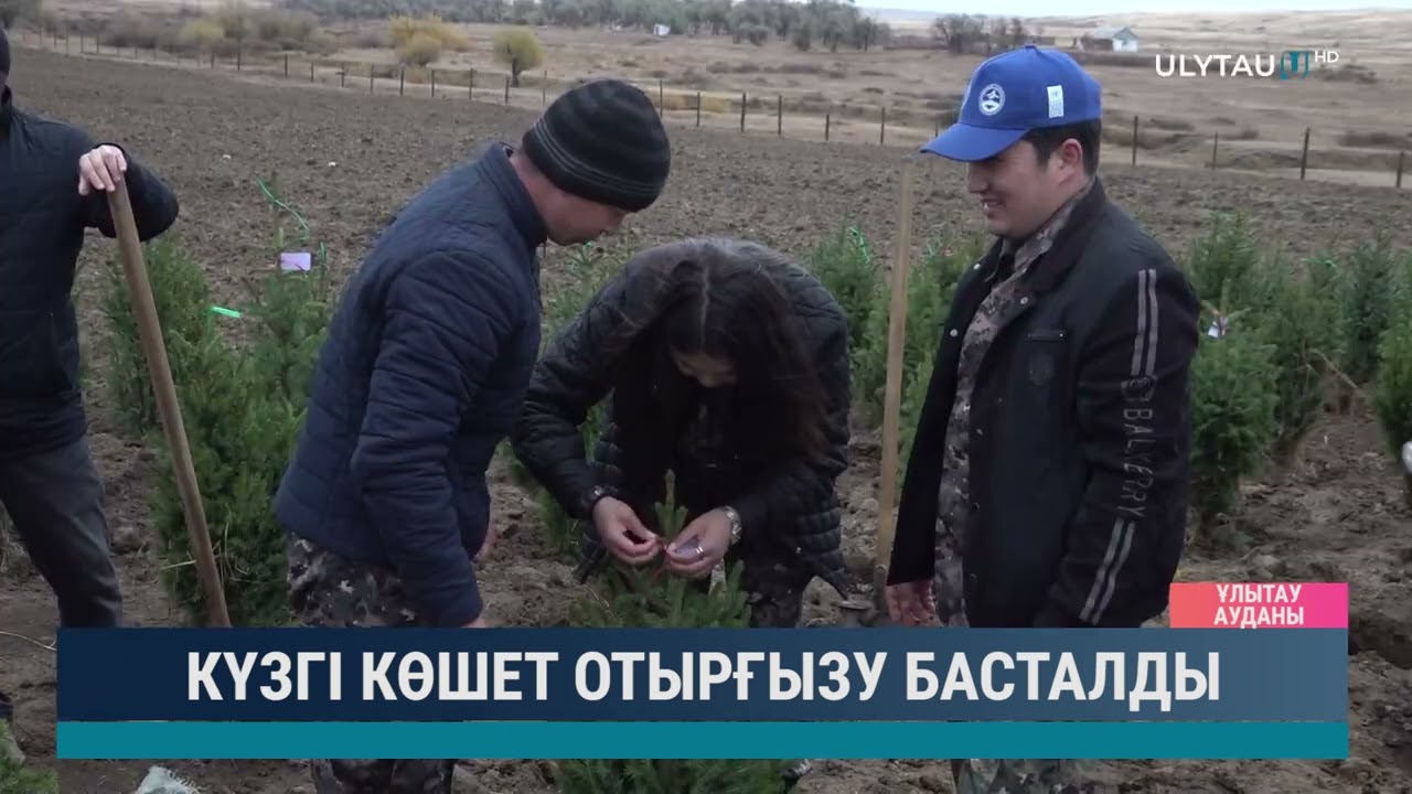 Күзгі көшет отырғызу басталды