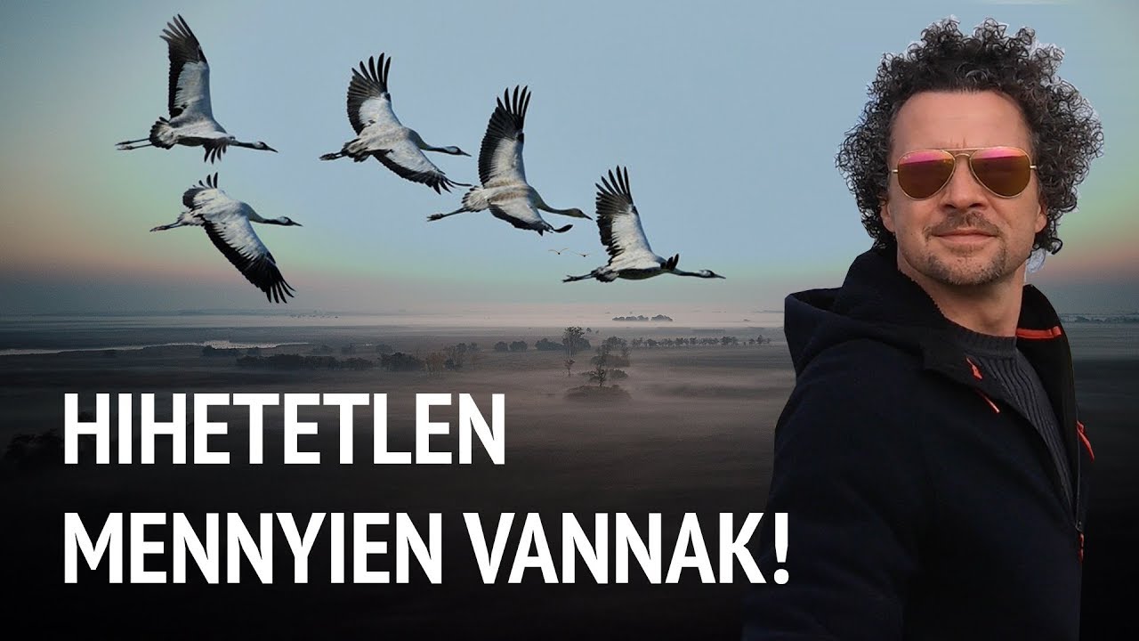 Elképesztő daru invázió a gyönyörű Hortobágyon!