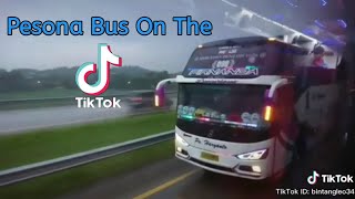 Pesona bus tik tok