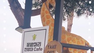 (원주카페 full version) 꽃밭머리 전망대 카페에서 물방울멍 💦 공기좋고, 볼거리 많고, 디저트도 맛나요. #원주카페 #꽃밭머리전망대 #행구동카페