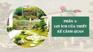 Thiết Kế Cảnh Quan Sân Vườn - Những Lợi Ích Bạn Nên Biết