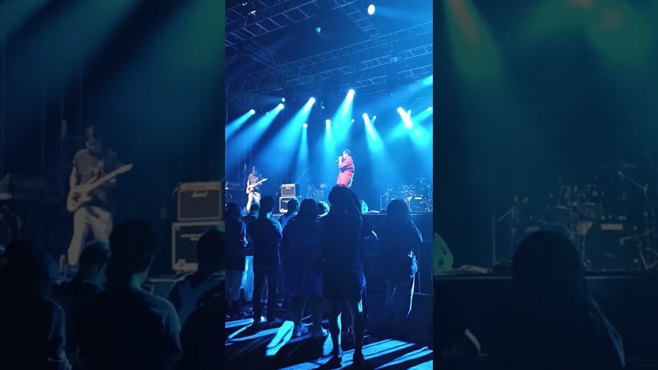 Skip - BAD BABOON Variety Jungle Concert 050725