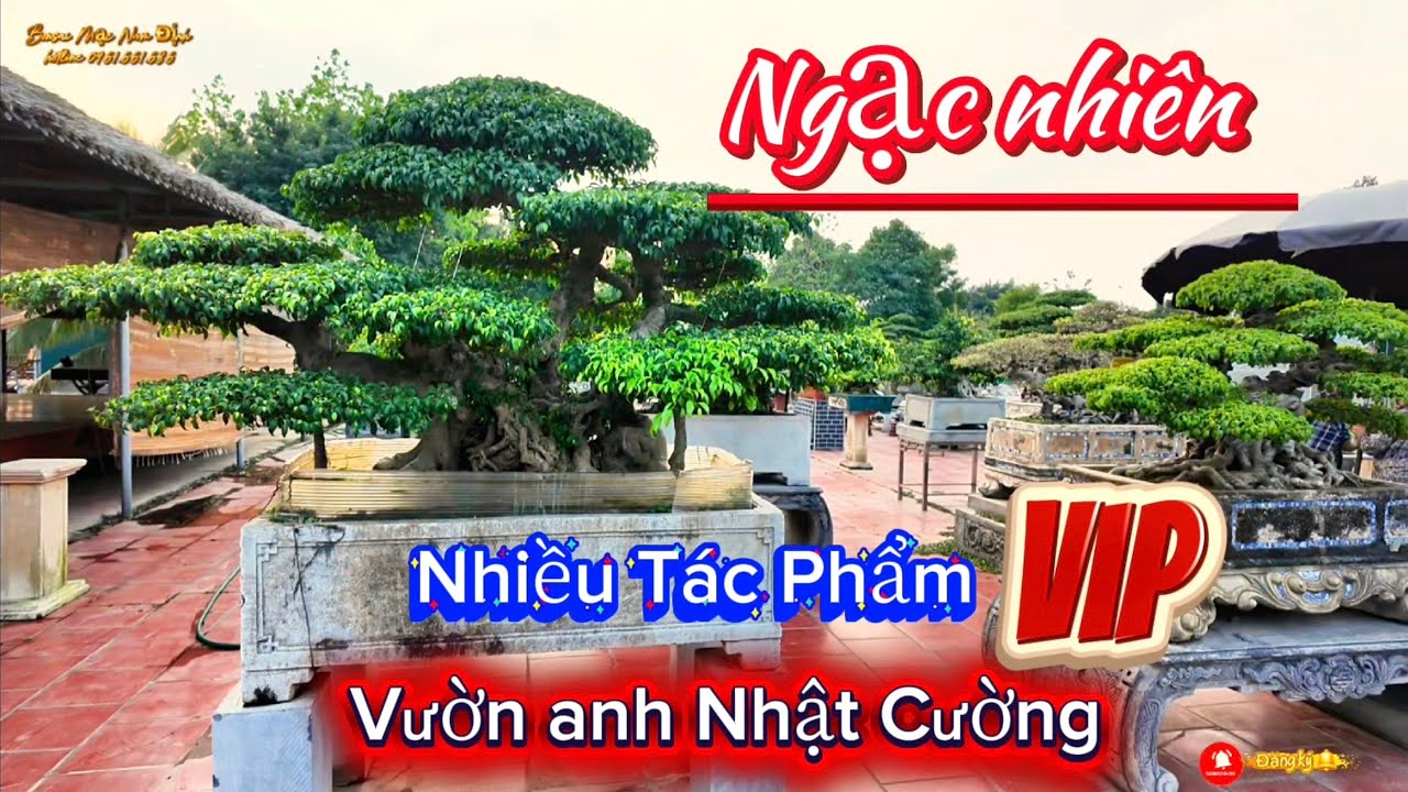 Ngạc nhiên nhà vườn Nhật Cường Cổ Loa Nhiều tác phẩm quý 