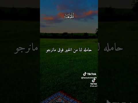 فصول السنة أربعة Ecotravel Foryou Riverhiking Forestbathing Travel Nature Duet صبرو Islam 