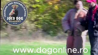 Joco Dog Academy