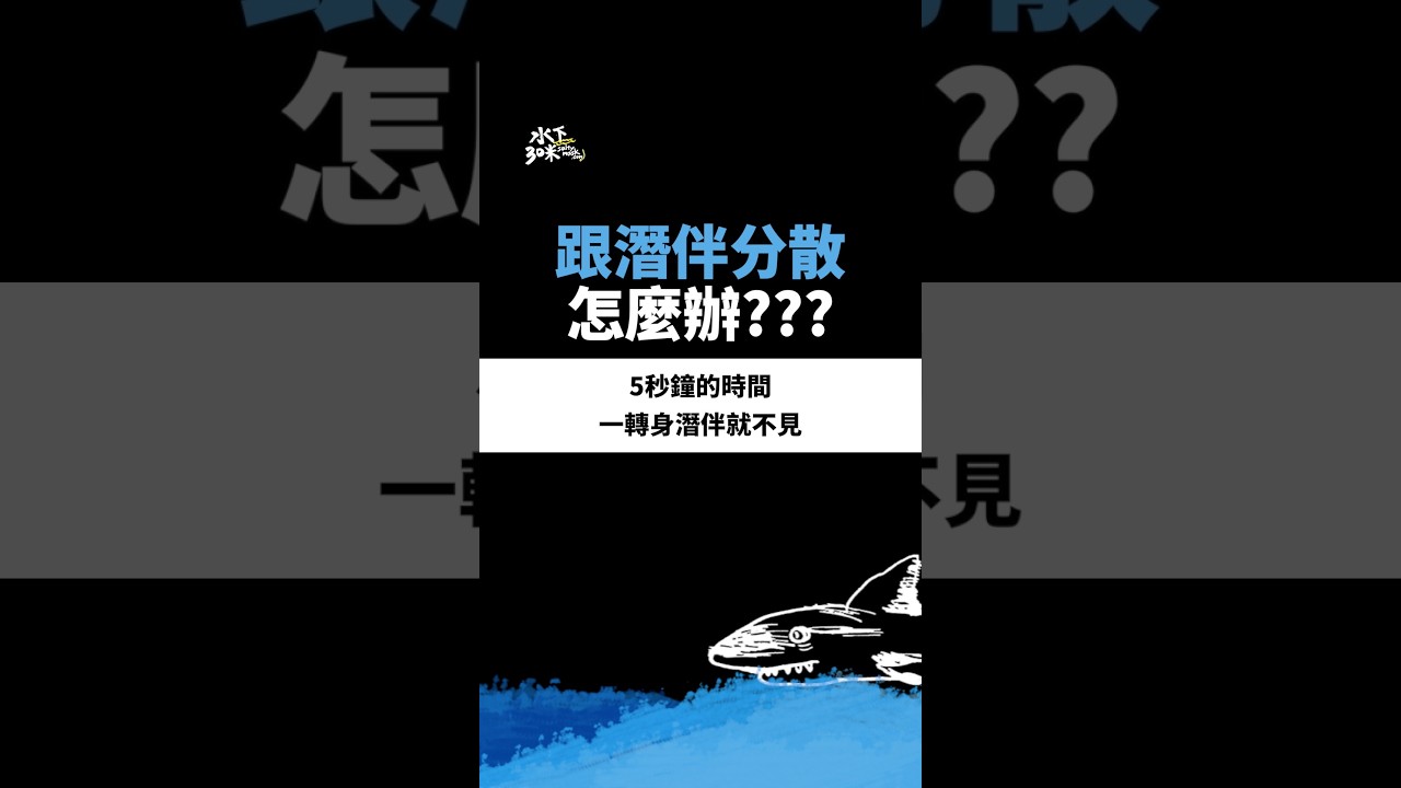 潛水解惑站 | 跟潛伴失散了應該怎麼辦? 縮圖
