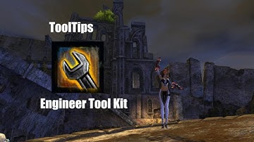 GW2 - A Guide to the Engineer