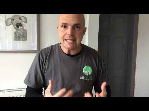 top-tips-for-walking-your-dog