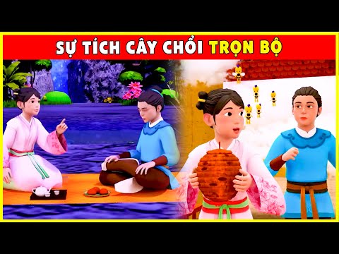 Video SỰ TÍCH CÂY CHỔI Trọn Bộ????Chuyện Cổ Tích 2022 Mới... - youtube