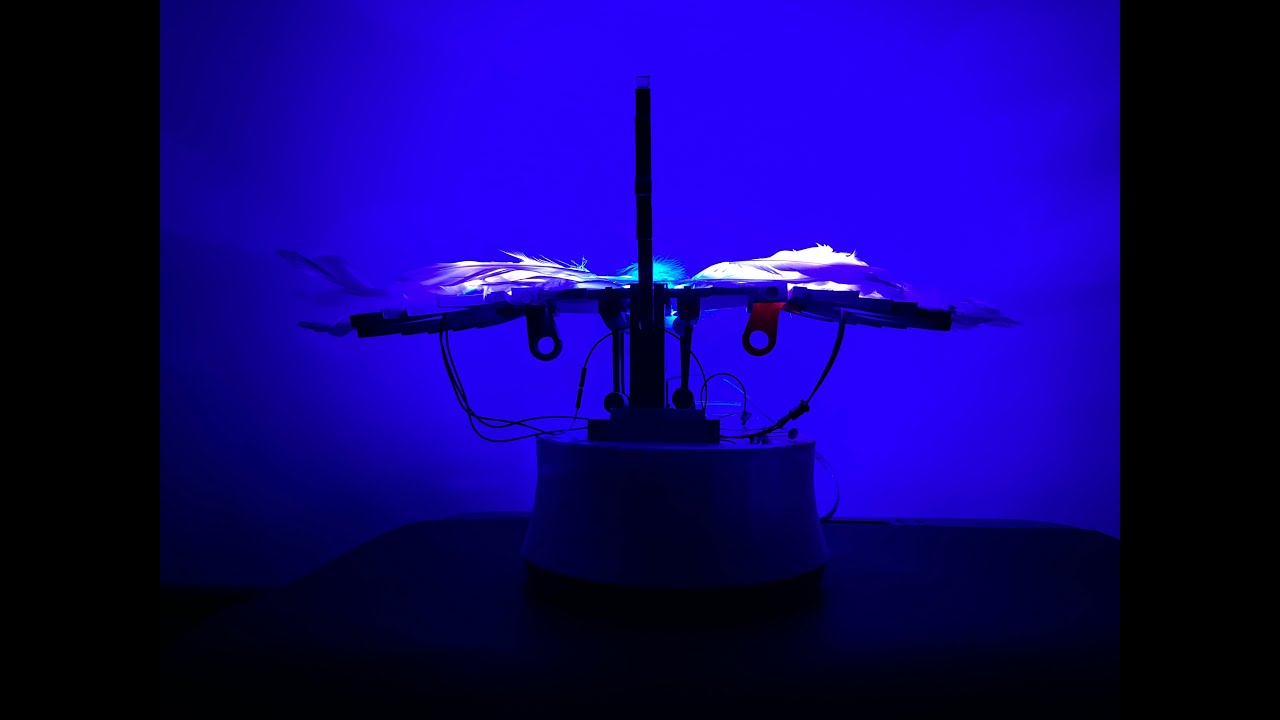 Video for lux lab Assignment 3 - YouTube