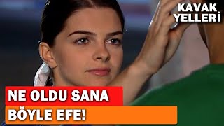 Kaşına Ne Oldu Efe? - Kavak Yelleri 84.Bölüm