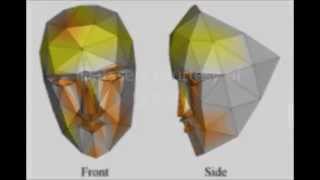 Timing-Based Local Descriptor for Dynamic Surfaces (CVPR 2014) screenshot 4