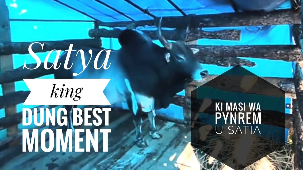 Sur jop u Satya king dung best moment (Satya Song)