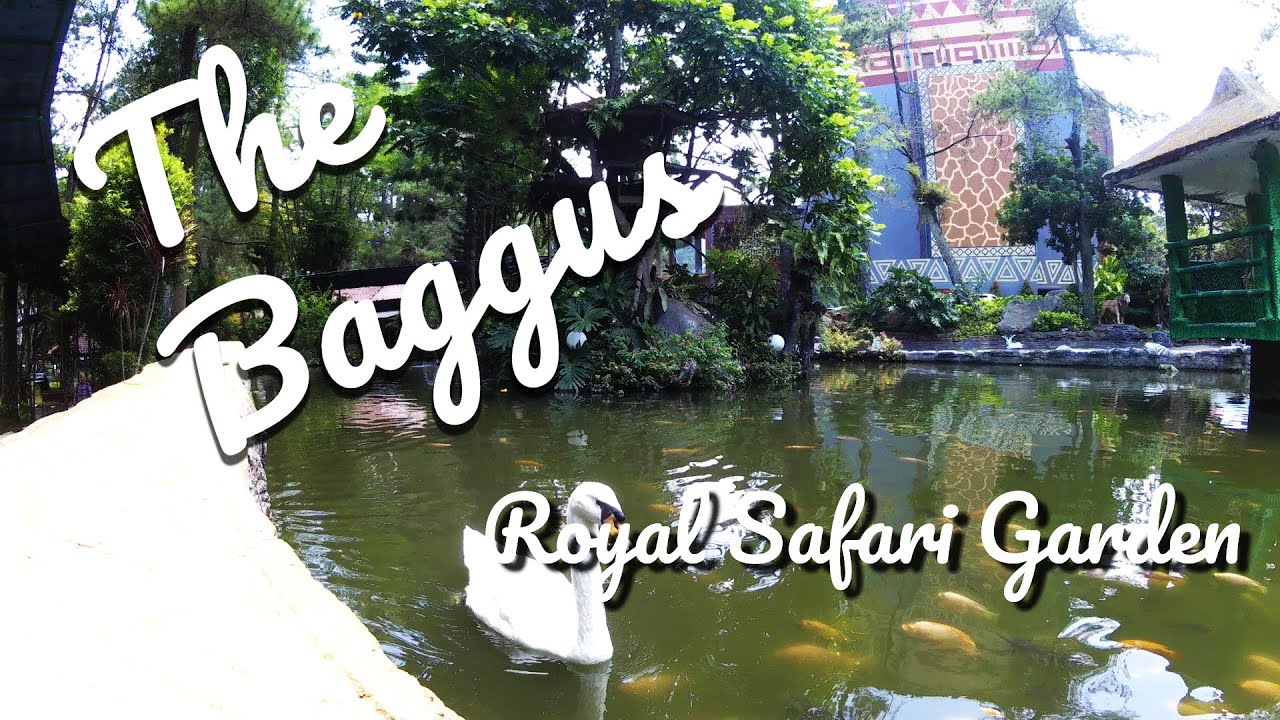 Royal Safari Garden - Taman Safari versi mini? Rekreasi keluarga The Baggus
