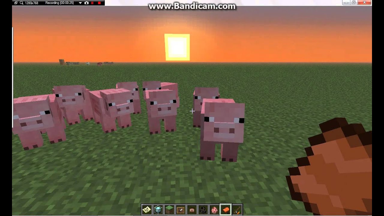 How to Herd Pigs in the NEWigi Minecraft Updata - YouTube