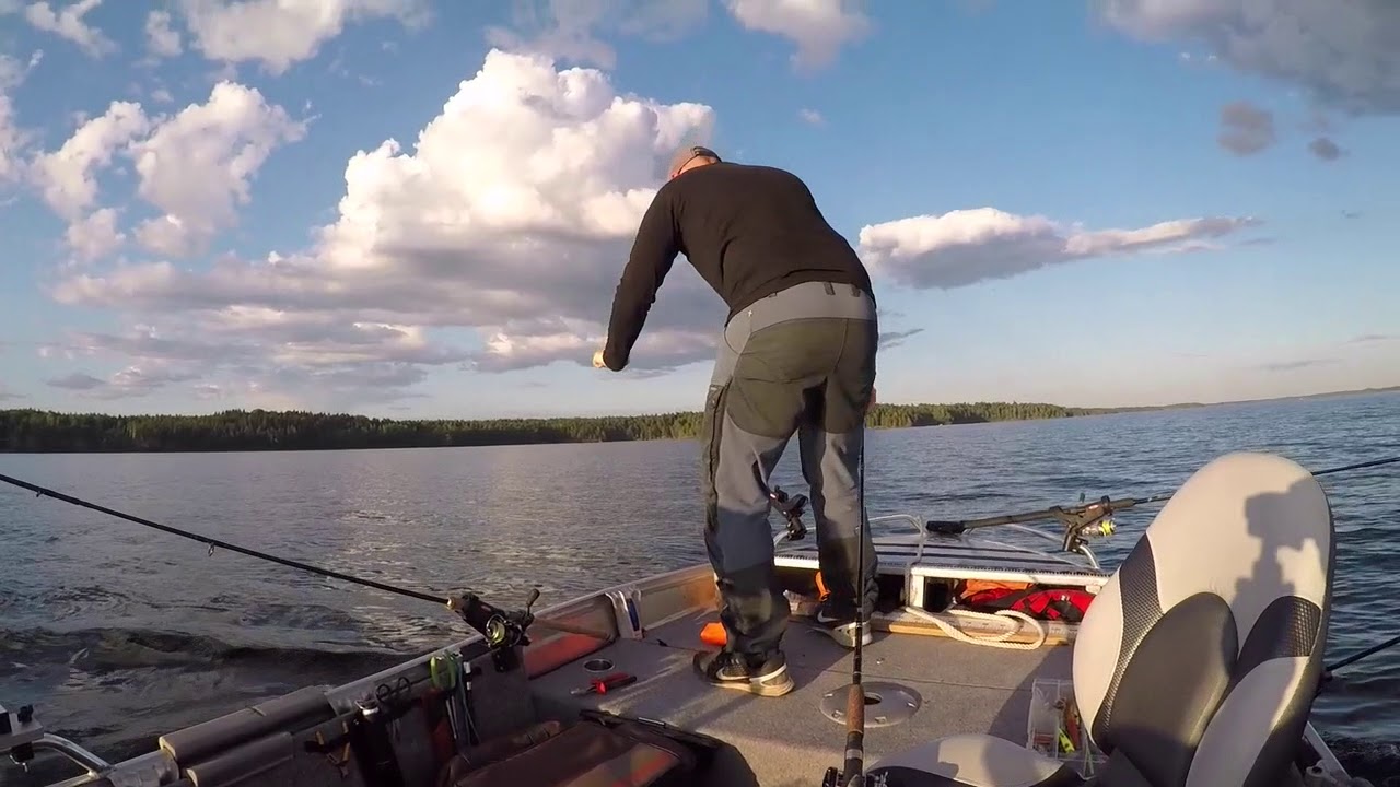 Gösnatta 2017 /TEAM BJÖRNHUGG