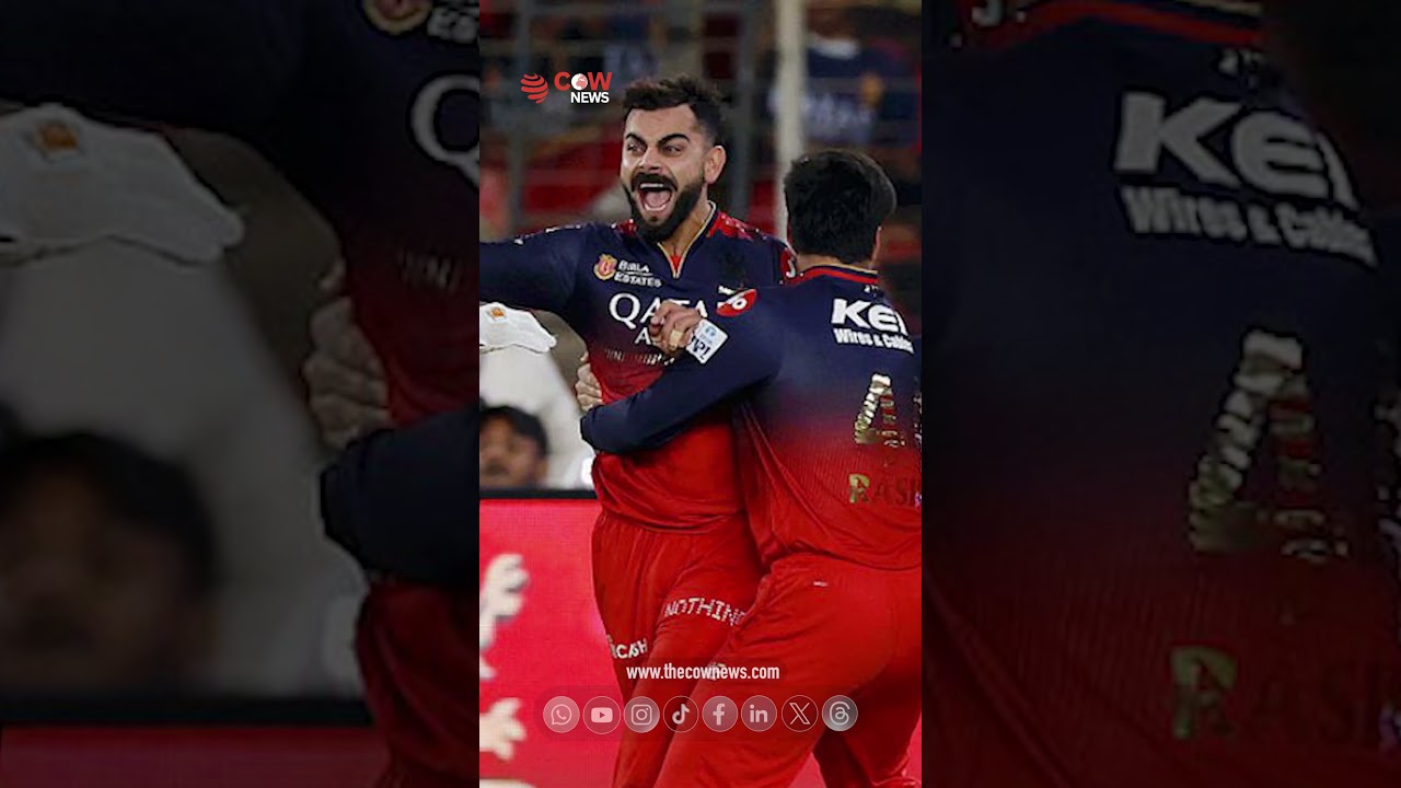 IPL Suffers Another Blow as Star Players Quit League