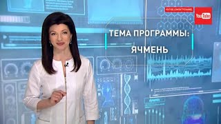 Ячмень на глазу.  Как лечить быстро / Формула здоровья