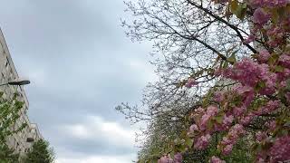 Spring time in Bucharest, Romania - April 2023