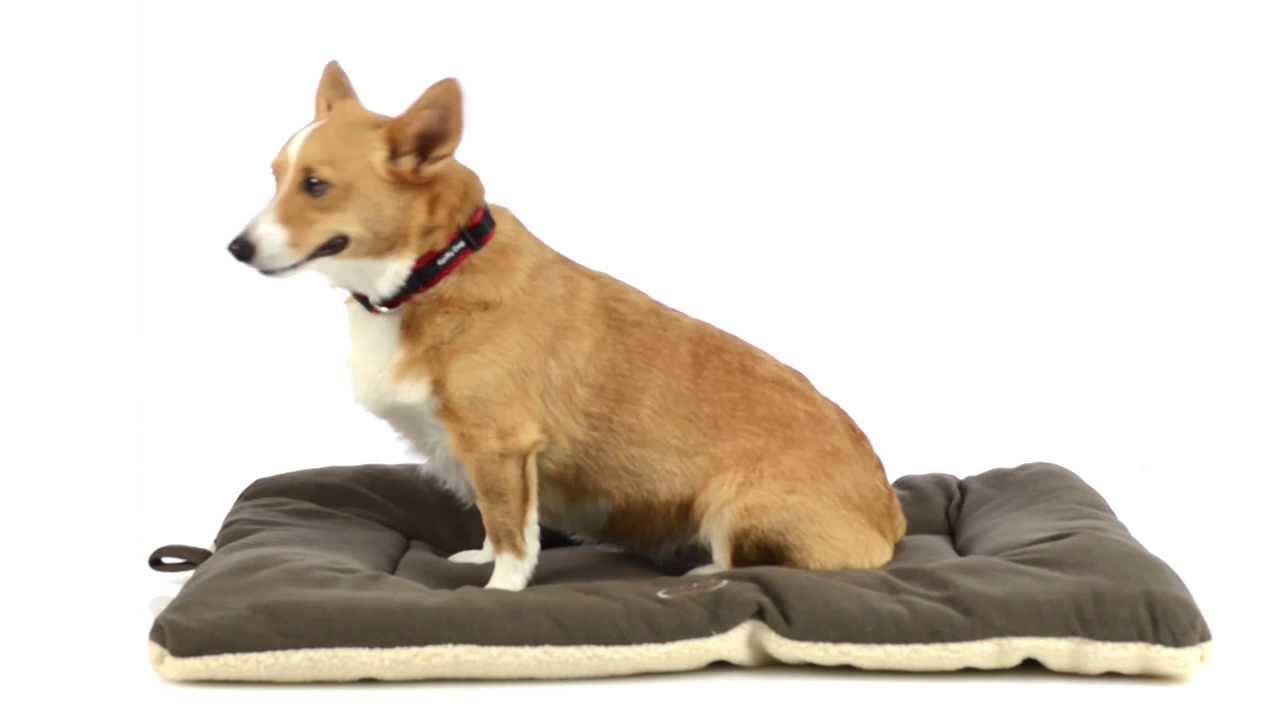 OllyDog Berber FleeceMicrosuede Dog Bed Large, Rectangular YouTube