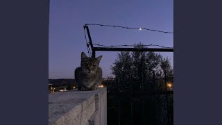 Toma Toma (Mega Francesita)