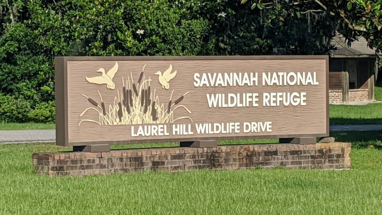 Savannah National Wildlife Refuge YouTube