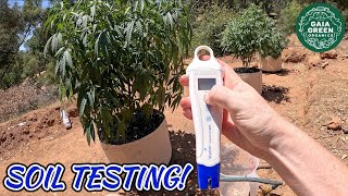 LET'S CHECK OUR SOIL! - OUTDOOR SEASON 2 EP19