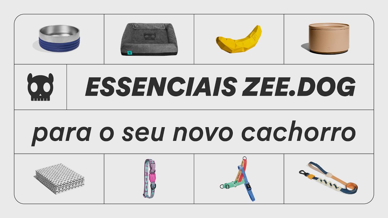8 itens da Zee.Dog pro seu primeiro cachorro | Review Petz TV