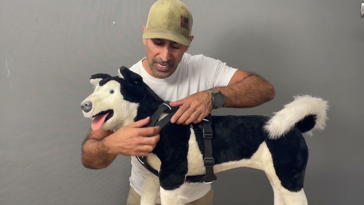 How to fit your DUO harness