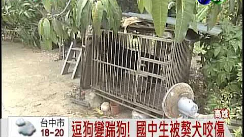 逗狗反被咬 国中生右脚被咬穿! - 天天要闻