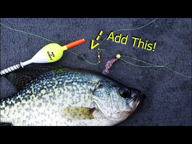 big r fishing lures ALEXANDRIA, LOUISIANA • RED RIVER BIG-R PREGNANT GUPPY VINTAGE CRANKBAIT Ryan's BEST offshore fishing Finicky Trout Bait SlideBait Tail R Color:The Salty Frog
