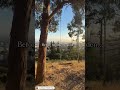 Berkeley’s best spot! Follow for more #california hidden gems!