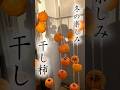 干し柿　2025版　アパートベランダで作れる干し柿#料理 #干し柿 #柿　#熊本 #時短節約 #vlog #cooking #料理#共働き #姉#チャンネル登録お願いします