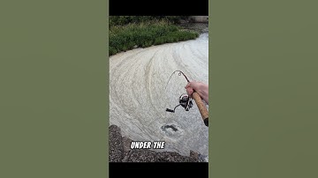 NASTY Foam = BIG Fish??!